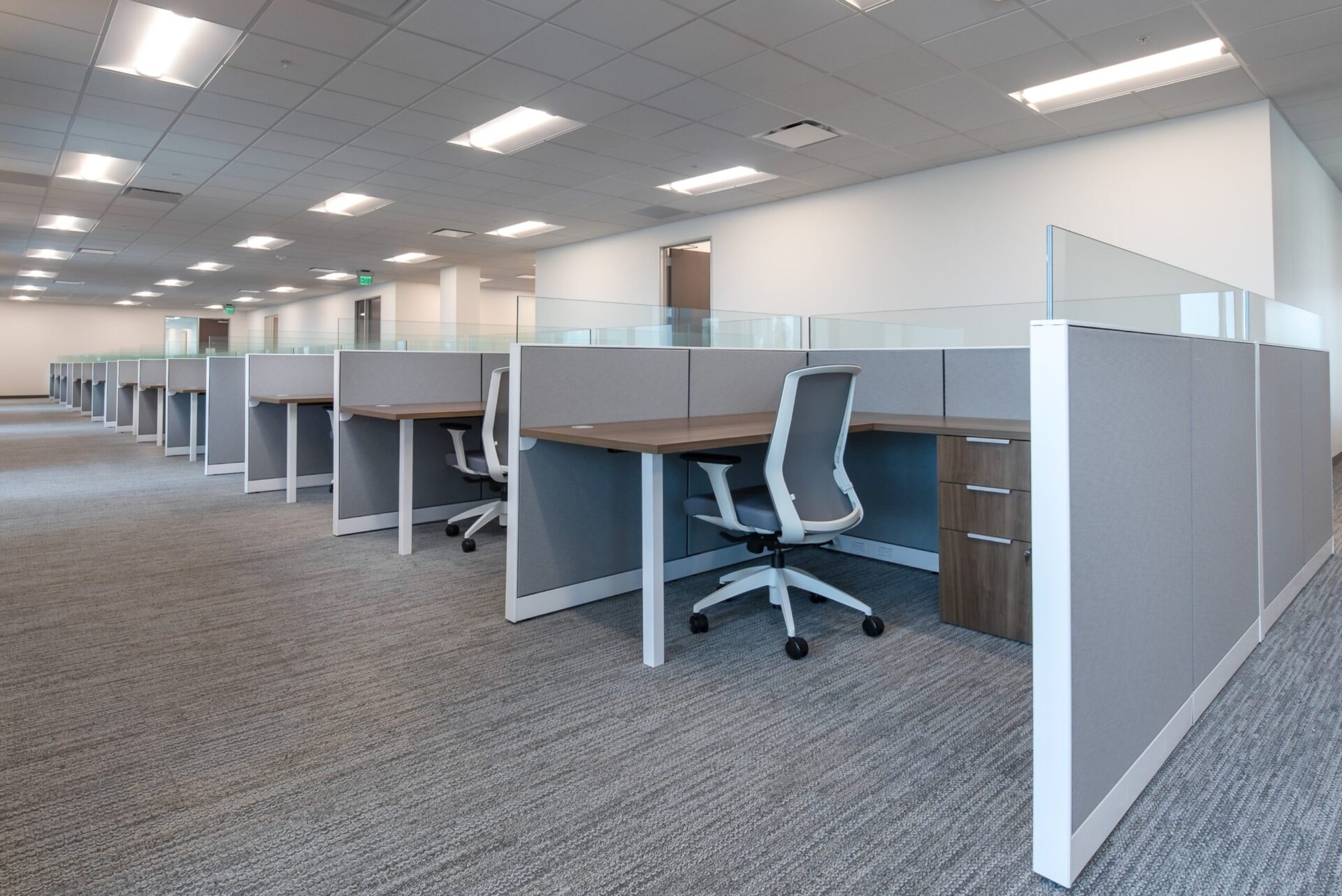 Vector Installation project